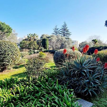 Studio Antibes Avec Piscine Kültér fotó