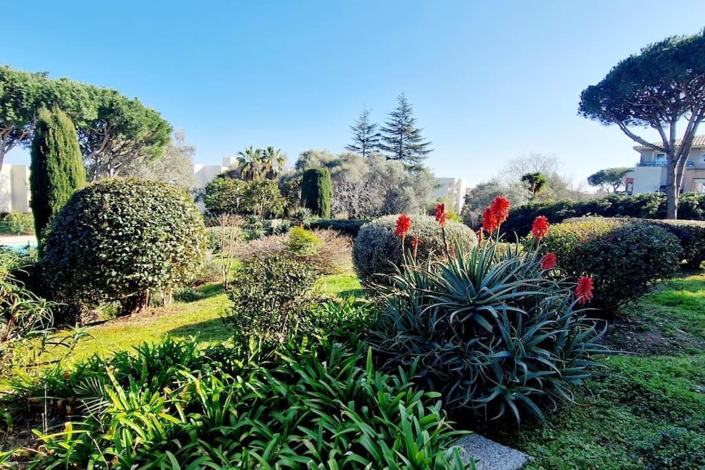 Studio Antibes Avec Piscine Kültér fotó