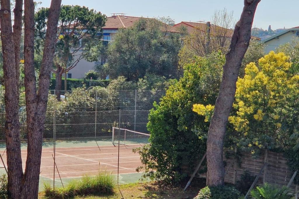 Studio Antibes Avec Piscine Kültér fotó